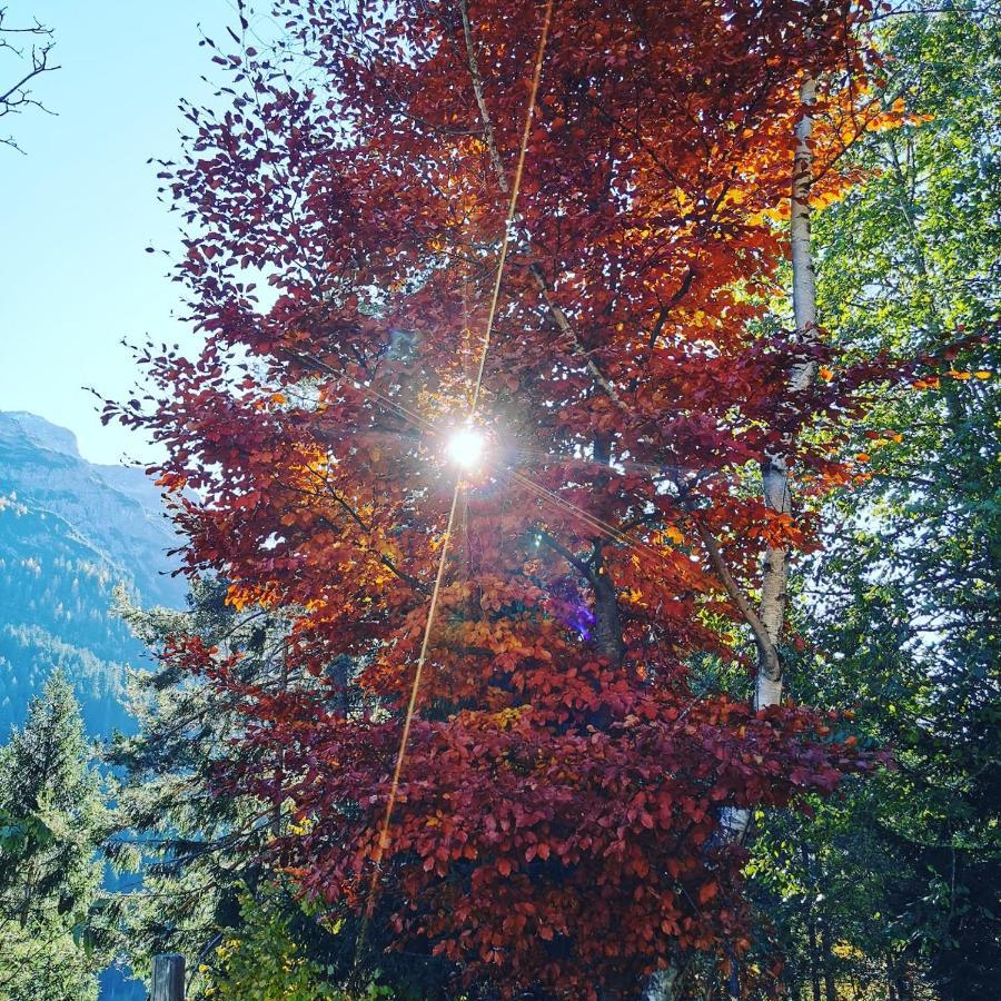 Ferienhaus Hochvogel Hinterhornbach Dış mekan fotoğraf